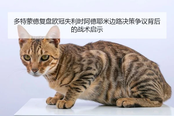 多特蒙德复盘欧冠失利时阿德耶米边路决策争议背后的战术启示